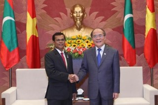 Chủ tịch Quốc hội Nguyễn Sinh Hùng tiếp Chủ tịch Quốc hội Maldives Abdulla Maseek Mohamed